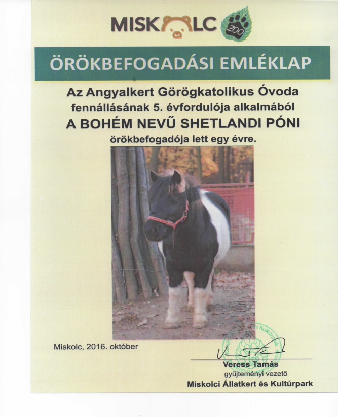 emléklap