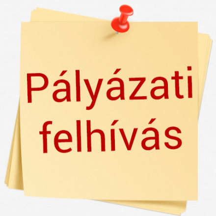 pályázati felhívás