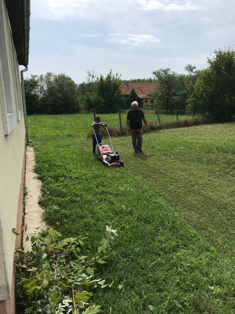 fűnyírás