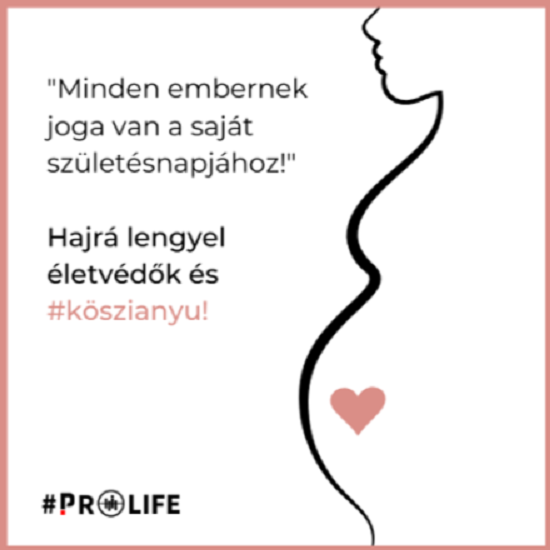 plakát