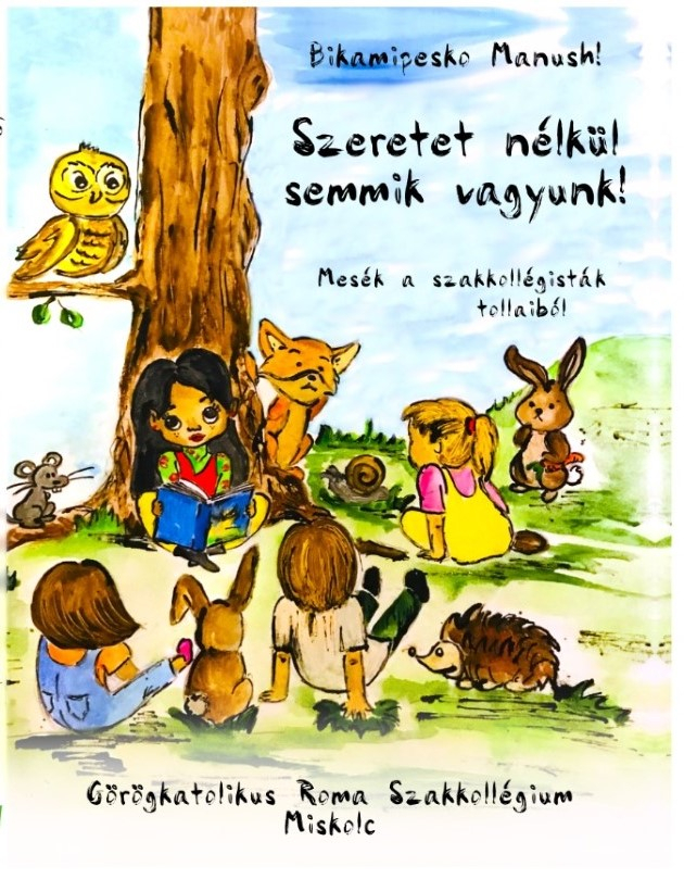 a könyv borítója
