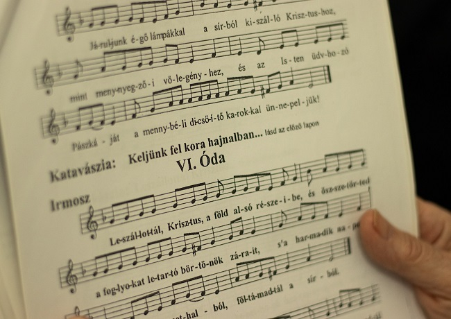 kotta