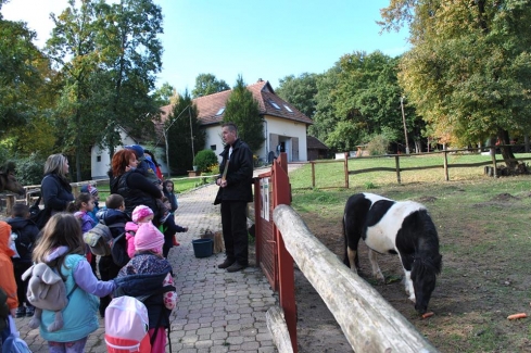 látogatás az állatkertben