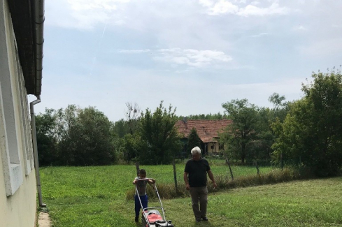 fűnyírás