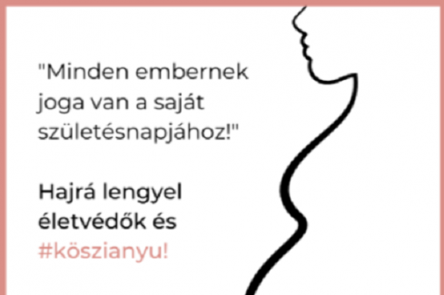 plakát
